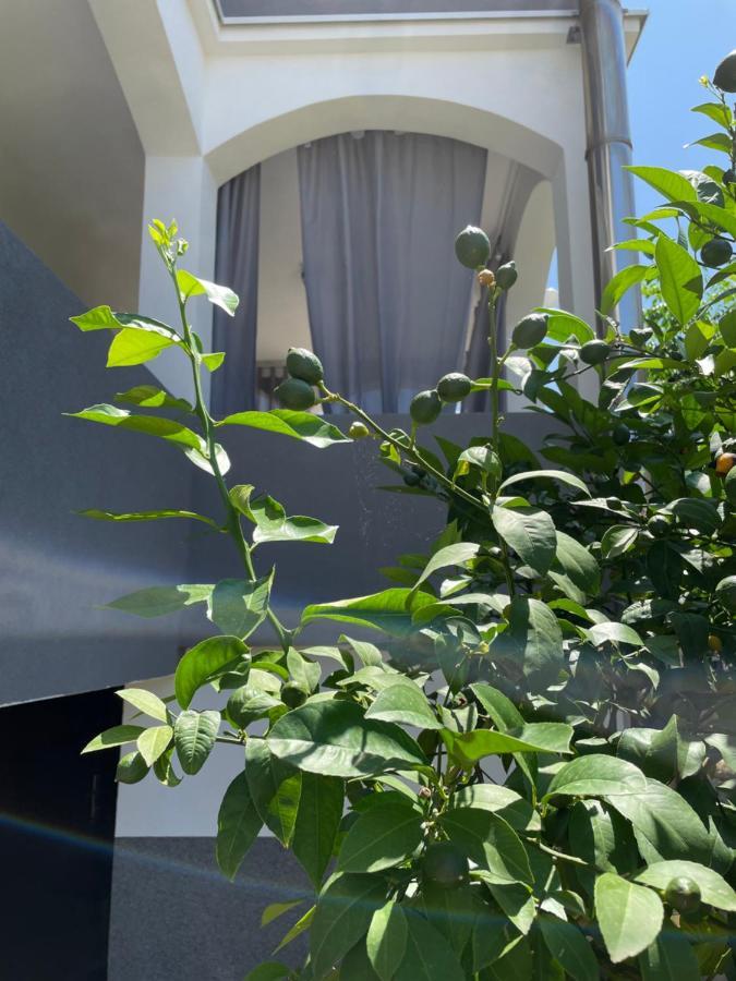 Mare Apartman Zára Kültér fotó